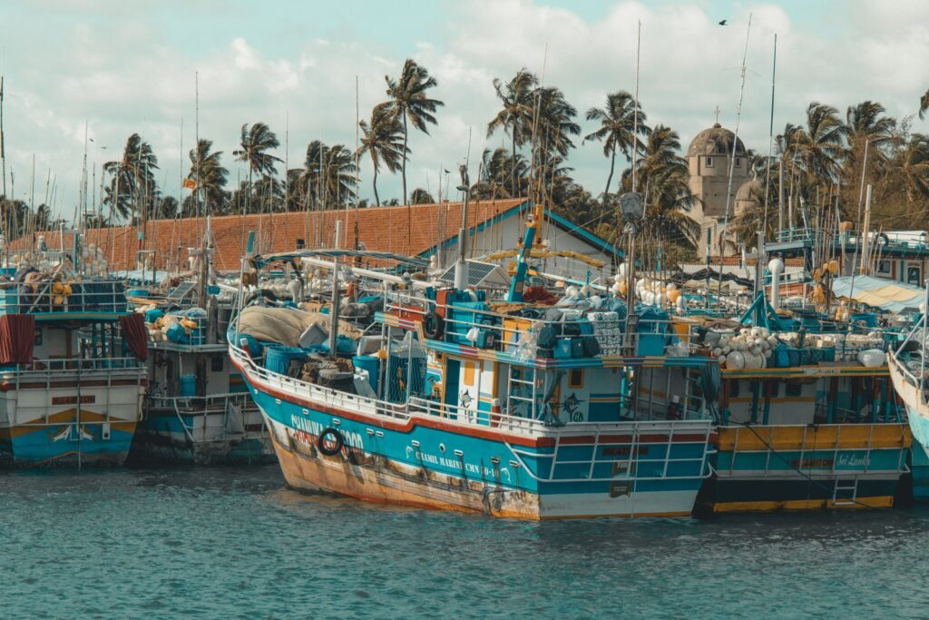 Vibrant fishing boats docked at a scenic tropical harbor with palm trees.